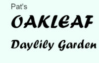 Pat's Oak Leaf Daylily Garden